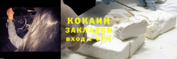 СК Елизово