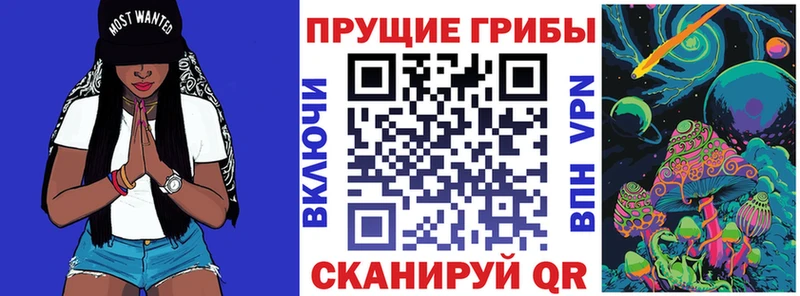 где купить   Жуков  Псилоцибиновые грибы мицелий 