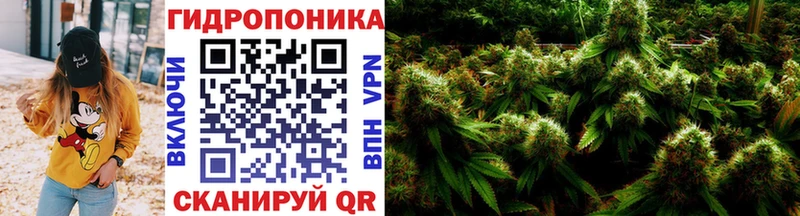 МАРИХУАНА OG Kush  продажа наркотиков  Жуков 
